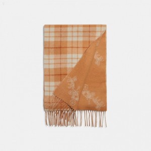 Coach Reversible Horse And Carriage Plaid Print Muffler - Women's Scarves - Beige | NHZF0182