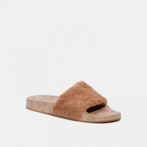 Coach Slide With Shearling - Men's Sandals - Beige / Brown | UVGC0148