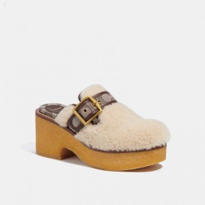 Coach Dylan Clog - Women's Sandals - Beige / Oak / Maple | MLEM6643