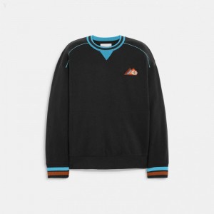 Coach Crewneck - Men's Tops - Black | NEDE7329