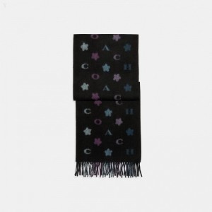 Coach Coach Stars Striped Print Muffler - Women's Scarves - Black Multicolor | YUHZ3938