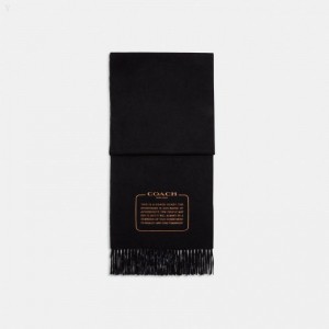 Coach Embroidered Patch Cashmere Muffler - Women's Scarves - Black | XVDP4805