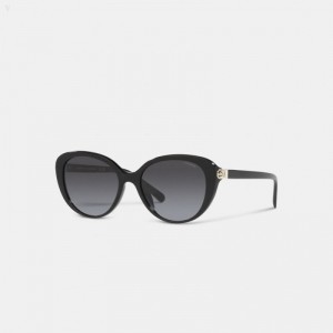 Coach Horse And Carriage Cat Eye Sunglasses - Women's Sunglasses - Black | TFLF2639