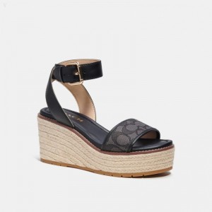 Coach Korey Espadrille In Signature Jacquard - Women's Espadrille - Black | QPMV5398
