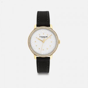 Coach Rayden Watch,32 Mm - Women's Watches - Black | DJVZ0535