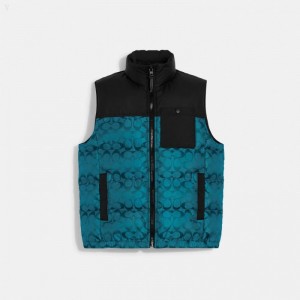 Coach Signature Puffer Vest - Men's Jackets - Black / Dark Pine | OSQL8510