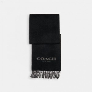 Coach Signature Scarf - Men's Scarves - Black / Grey | ISGT8959