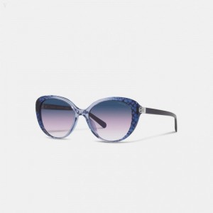 Coach Horse And Carriage Round Sunglasses - Women's Sunglasses - Blue C | YMTX7070