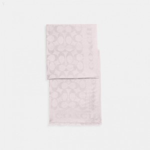 Coach Signature Stole - Women's Scarves - Blush | PLGI7052
