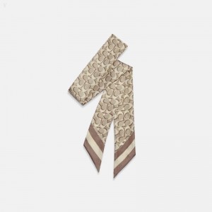Coach Signature Print Silk Skinny Scarf - Women's Scarves - Bone | SEBC2888