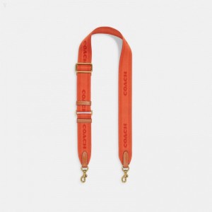 Coach Colorblock Webbing Strap - Women's Accessories - Brass / Orange Rust Multicolor | ADHF0754