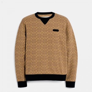 Coach Essential Crewneck In Signature - Men's Tops - Brown | QQBT7373