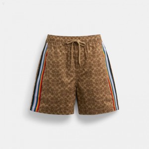 Coach Rainbow Signature Shorts - Men's Shorts - Brown | PYLB5729