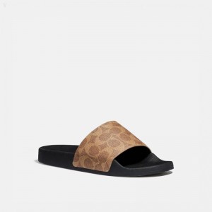 Coach COACH | Udele Sport Slide In Signature Canvas - Women's Sandals - Brown | FNLQ4549