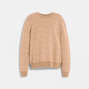 Coach Signature Crewneck Sweater - Men's Sweater - Camel | ACUN3471