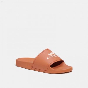 Coach Slide With Coach - Men's Sandals - Canyon | NPXY1849