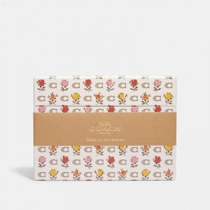 Coach Boxed Notecards With Badlands Floral Print - Women's Accessories - Chalk Multicolor | ZJPY9922