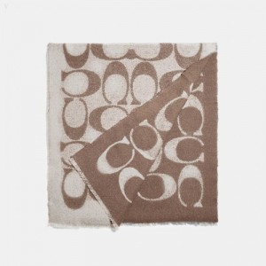 Coach Reversible Signature Muffler - Women's Scarves - Chalk Taupe | XRWK6602