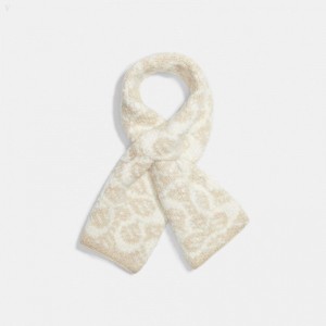 Coach Signature Cashmere Scarf - Women's Scarves - Chalk | RJEZ0915