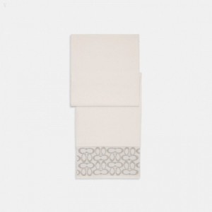 Coach Signature Oblong Scarf - Women's Scarves - Chalk | MHZM7260