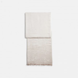Coach Signature Shawl - Women's Scarves - Chalk | MTXB7161
