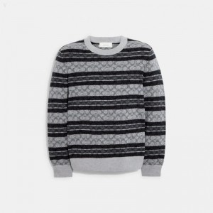 Coach Signature Sweater - Men's Sweater - Charcoal Grey | FJKI0952