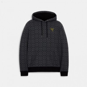 Coach Signature Rexy Hoodie - Men's Hoodie - Charcoal | QCNX0989