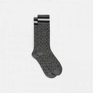 Coach Signature Socks - Men's Socks - Charcoal Multicolor | XQJV0716