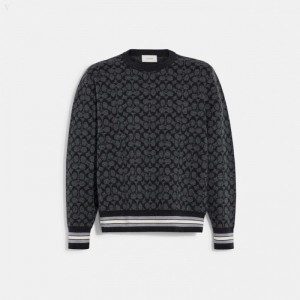 Coach Signature Sweater - Men's Sweater - Charcoal Multicolor | ZMTT6828