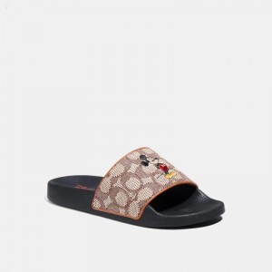 Coach Disney X Coach Sport Slide In Signature Textile Jacquard With Mickey Mouse Embroidery - Women's Sandals - Cocoa | KLKR4723