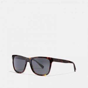 Coach Leroy Sunglasses - Men's Sunglasses - Dark | LQAO6914