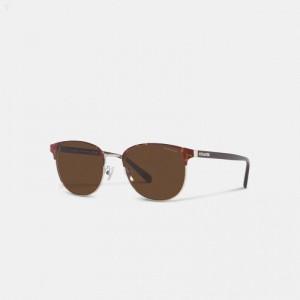 Coach Retro Sunglasses - Men's Sunglasses - Dark | CZPN1295