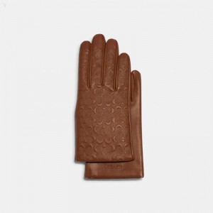 Coach Signature Leather Tech Gloves - Men's Gloves - Dark Saddle | CAXQ8743