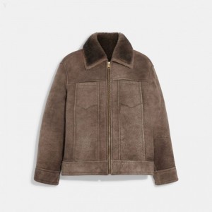 Coach Shearling Trucker - Men's Coats - Dark Stone | YJOW6015