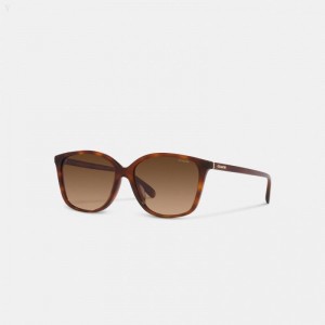Coach Embedded Wire Square Sunglasses - Women's Sunglasses - Dark | QCDF6890