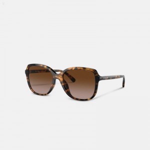 Coach Geometric Square Sunglasses - Women's Sunglasses - Dark | ZLRT3021