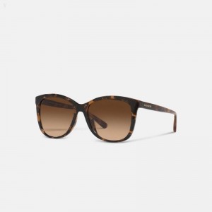 Coach Geometric Square Sunglasses - Women's Sunglasses - Dark | GIAT5915