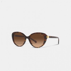 Coach Horse And Carriage Cat Eye Sunglasses - Women's Sunglasses - Dark | MEQC2149