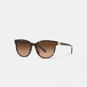 Coach Horse And Carriage Round Sunglasses - Women's Sunglasses - Dark | PHSD3693