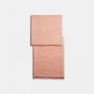 Coach Signature Shawl - Women's Scarves - Faded Blush | TOLK6518