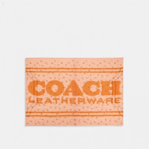Coach Floral Trio Print Oblong Scarf - Women's Scarves - Faded Pink | VQIF7555
