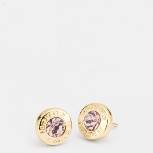 Coach Open Circle Stone Strand Earrings - Women's Jewelry - Gold | NTUW4509