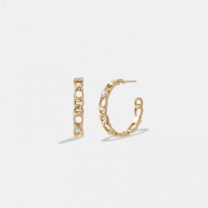Coach Signature Chain Hoop Earrings - Women's Jewelry - Gold | SENR7576