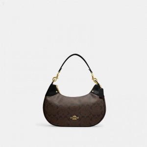Coach Mara Hobo In Signature Canvas - Women's Shoulder Bags - Gold / Brown Black | KBDB4506