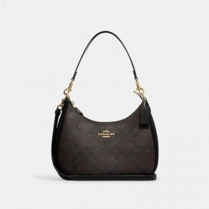 Coach Teri Hobo In Signature Canvas - Women's Shoulder Bags - Gold / Brown Black | KRET8081