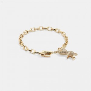 Coach Pavé Rexy Signature Chain Bracelet - Women's Jewelry - Gold / Crystal | DQQX9284