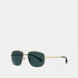 Coach Eli Navigator Sunglasses - Men's Sunglasses - Gold / Green | PMHR2853
