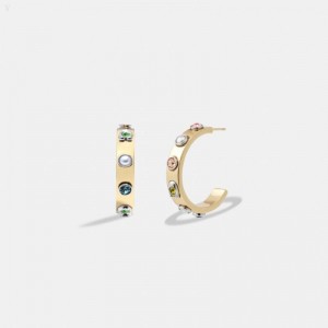 Coach Pegged Pearl And Stone Hoop Earrings - Women's Jewelry - Gold / Multicolor | PWBL3582