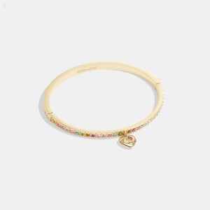 Coach Signature Rainbow Heart Pavé Hinged Bangle - Women's Jewelry - Gold / Multicolor | PSYZ8134