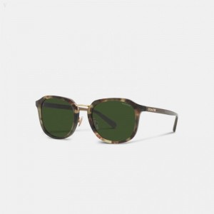 Coach Rounded Geometric Sunglasses - Men's Sunglasses - Green | RDWS2146